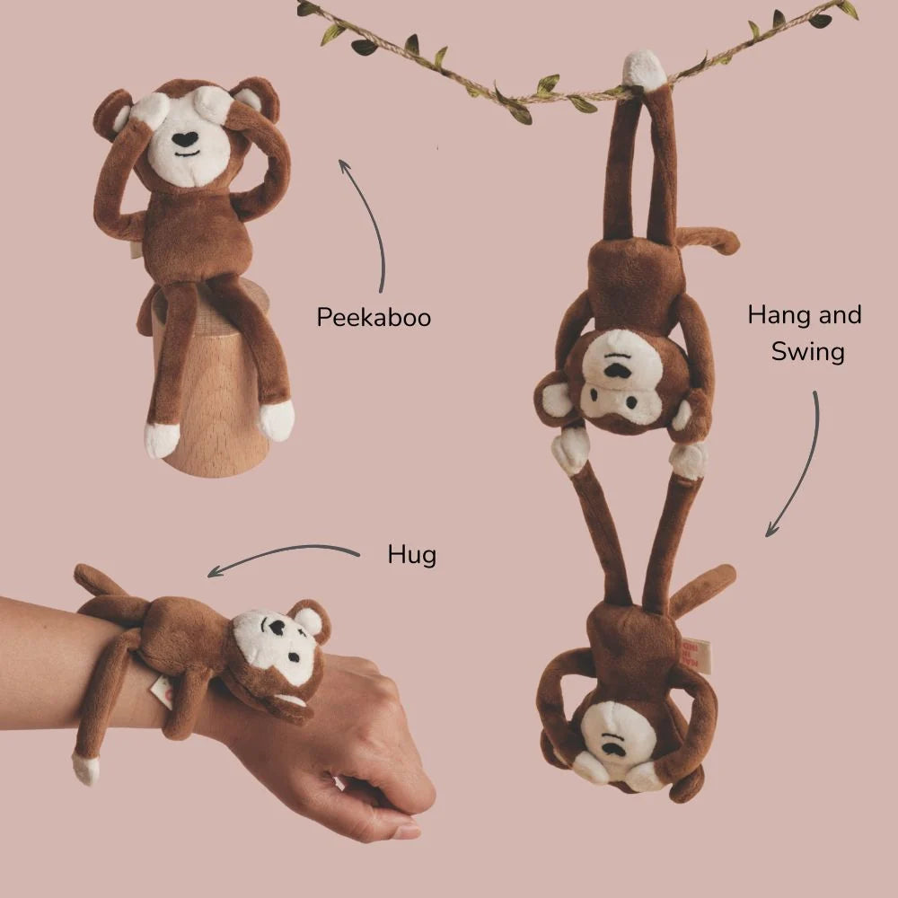 Kiki The Monkey