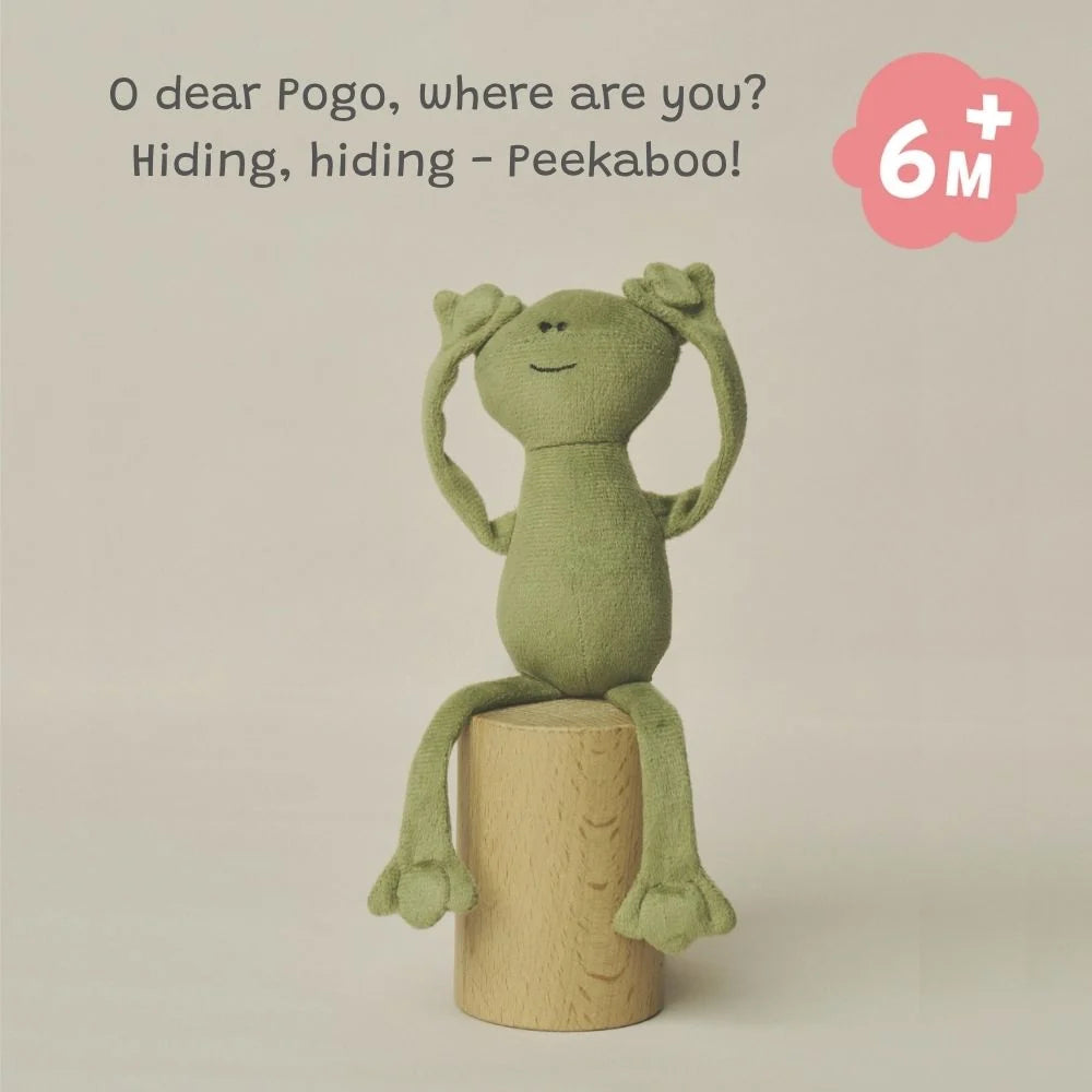 Pogo The Frog