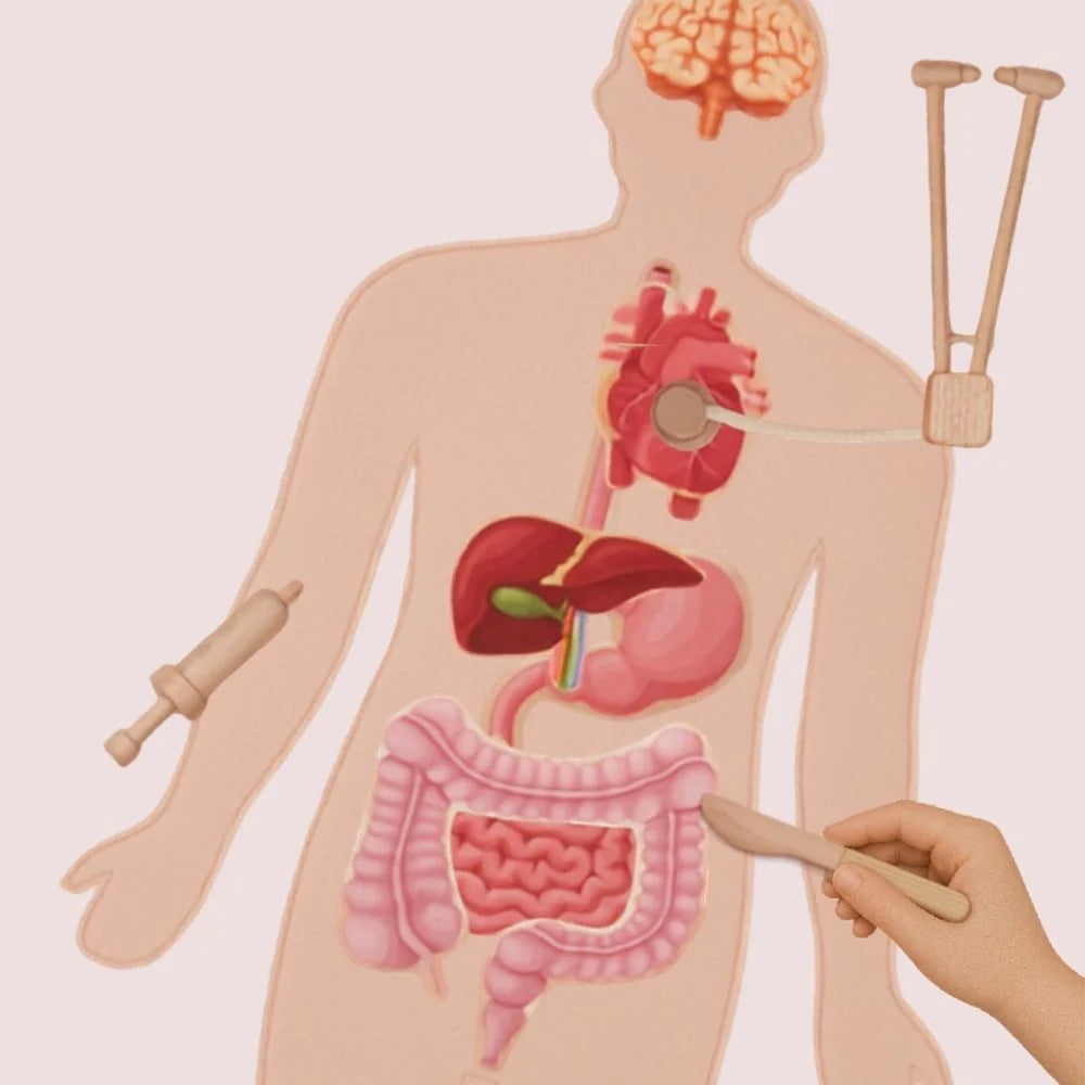Curious Doctor- Organ and Surgery Kit