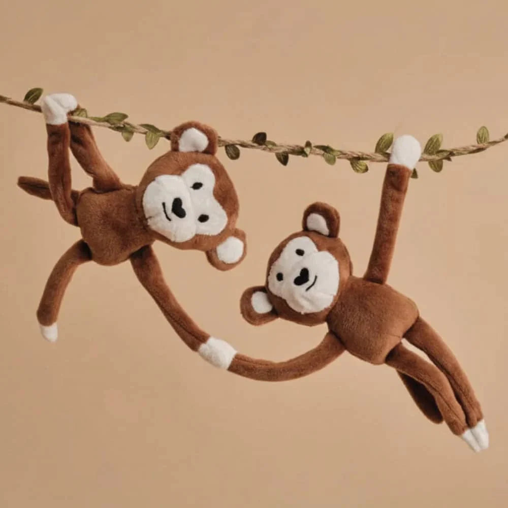 Kiki The Monkey