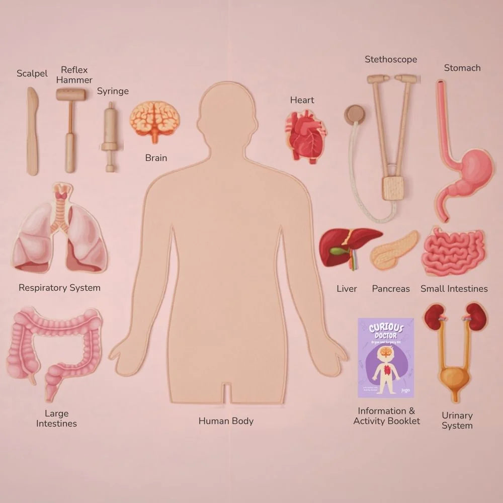 Curious Doctor- Organ and Surgery Kit