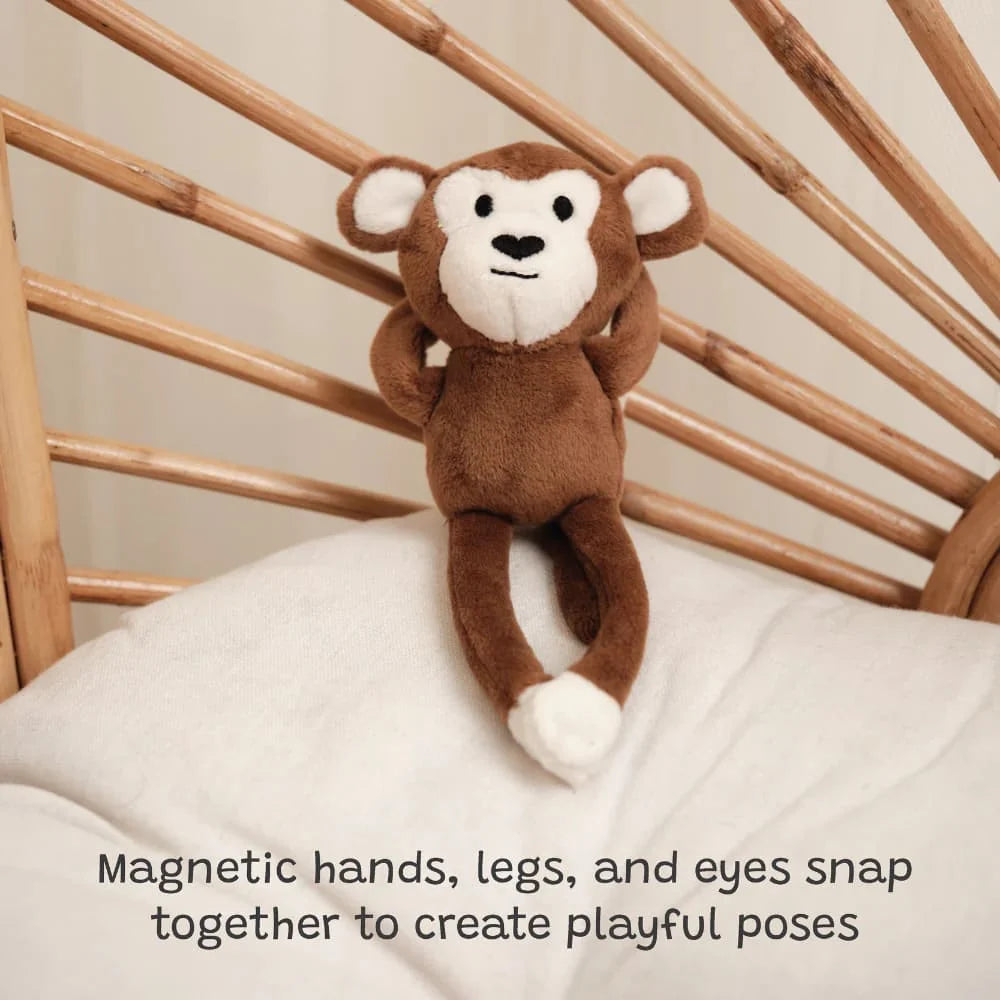 Kiki The Monkey