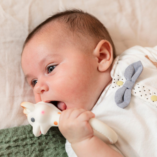 So’Pure Ring teether