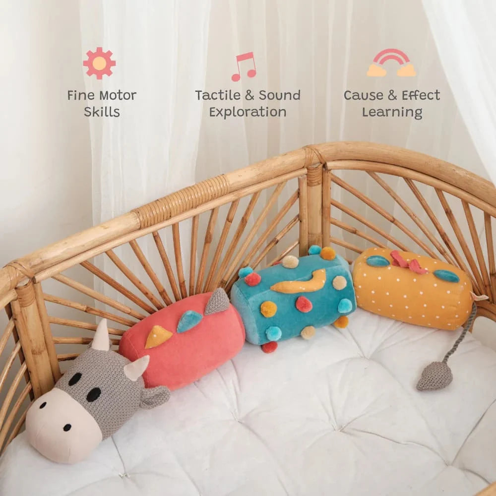 Pull & Play Toy