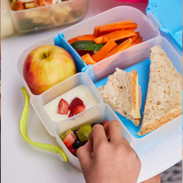 Lunch Box Ocean Breeze Blue