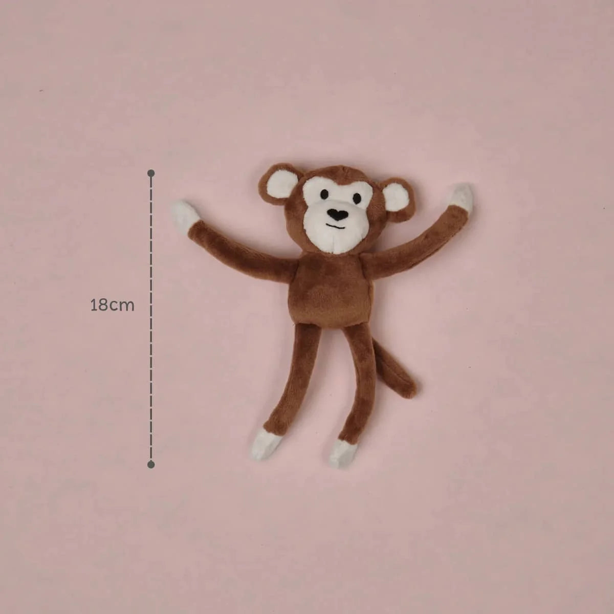 Kiki The Monkey
