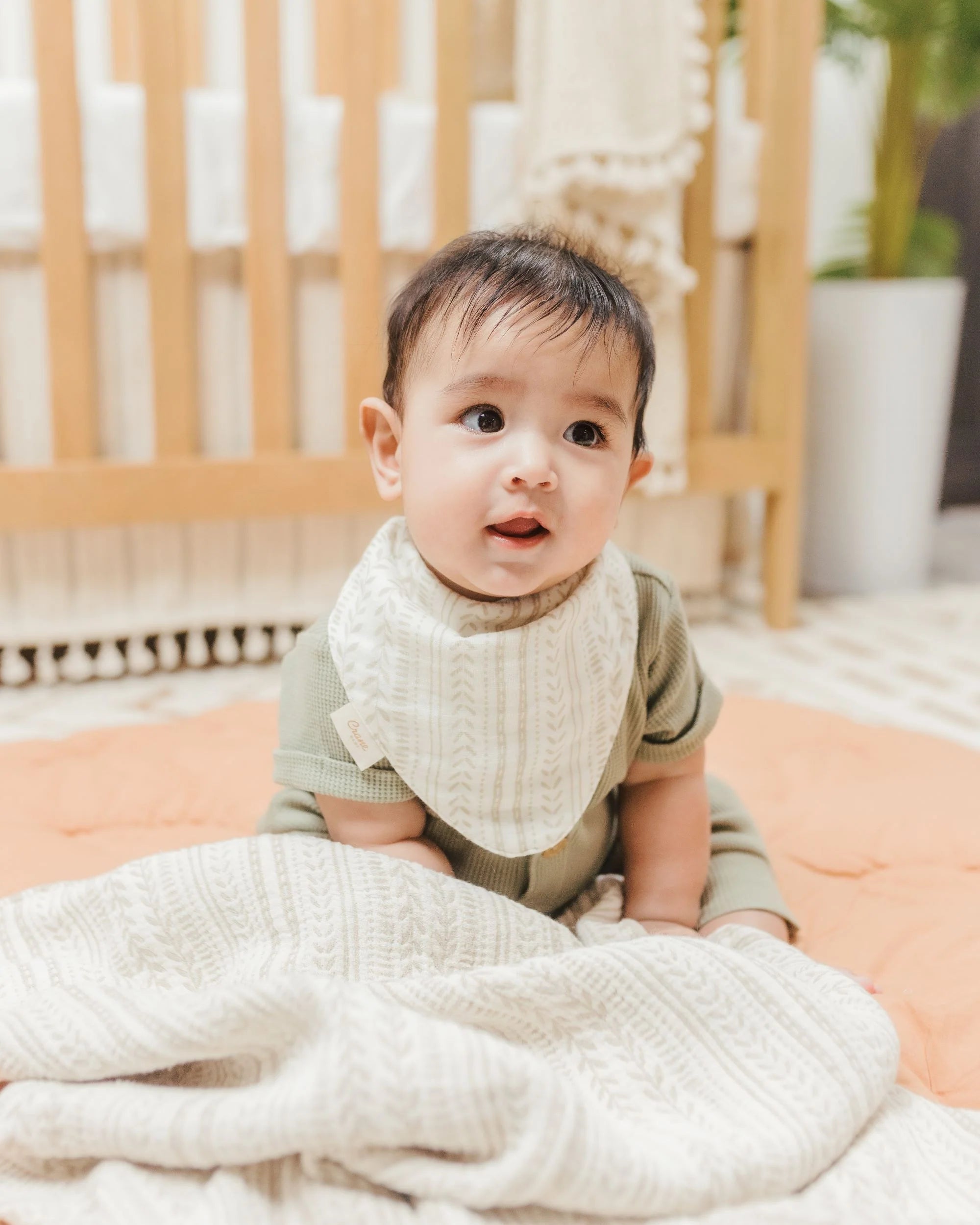 Crane Baby Bandana Bib Set - Willow Multicolor Leaf