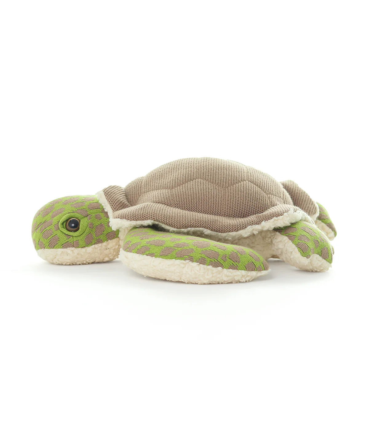 Shelly Tortoise