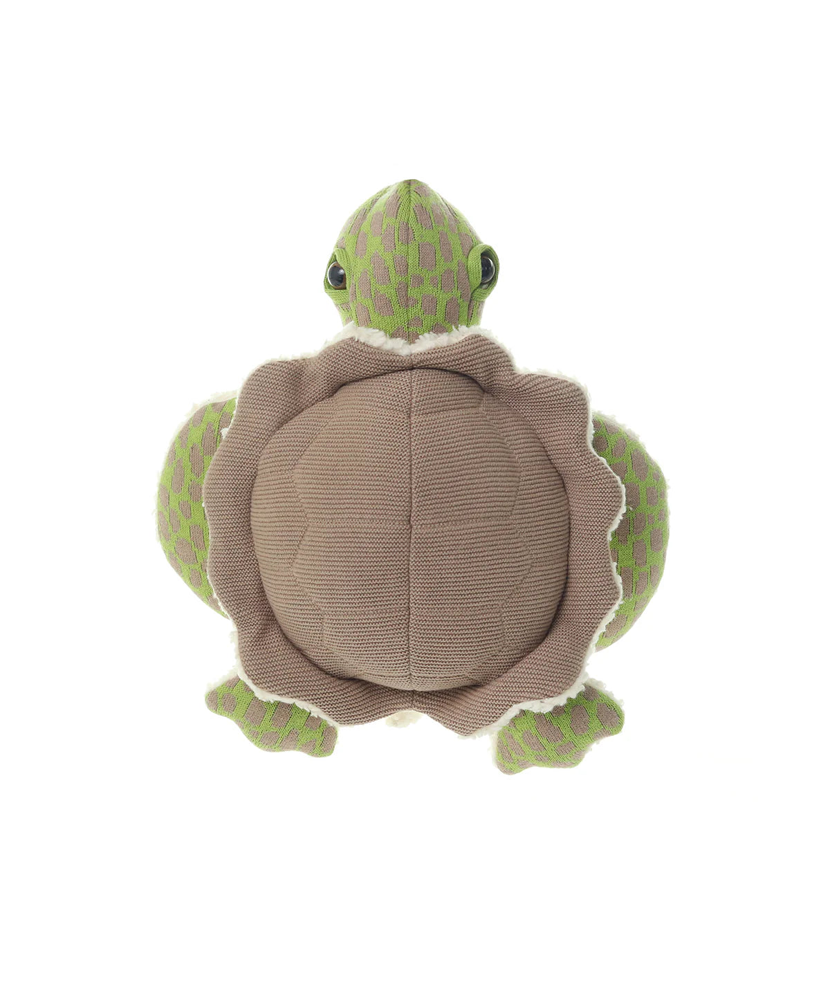 Shelly Tortoise