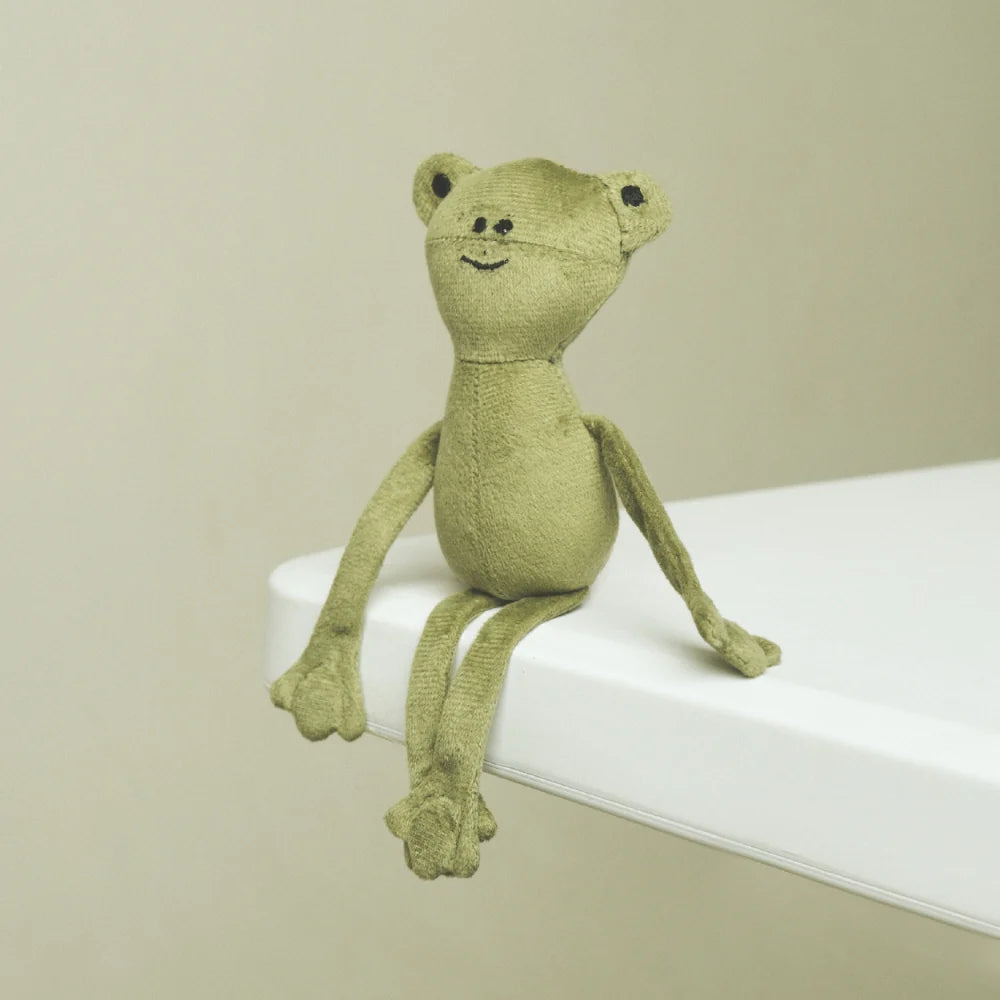 Pogo The Frog