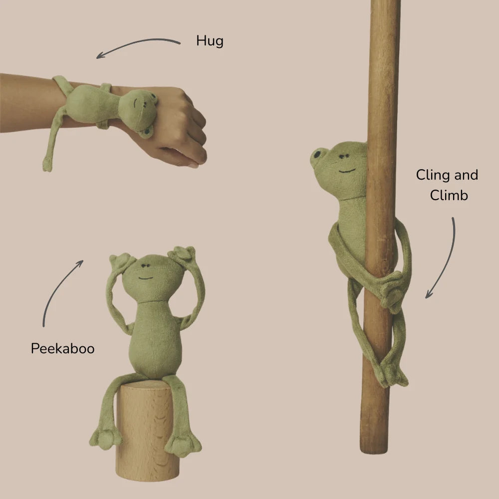 Pogo The Frog